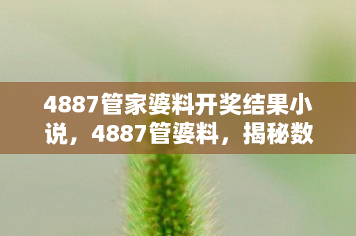 4887管家婆料开奖结果小说，4887管婆料，揭秘数字时代的另类娱乐