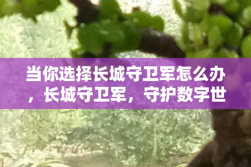 当你选择长城守卫军怎么办,长城守卫军,守护数字世界的铜墙铁壁 当你选择长城守卫军怎么办,长城守卫军,守护数字世界的铜墙铁壁