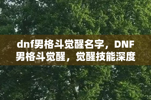 dnf男格斗觉醒名字，DNF男格斗觉醒，觉醒技能深度解析与实战应用