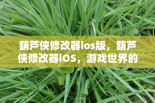 葫芦侠修改器ios版，葫芦侠修改器iOS，游戏世界的自由探索者