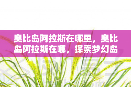 奥比岛阿拉斯在哪里，奥比岛阿拉斯在哪，探索梦幻岛屿的奇妙之旅