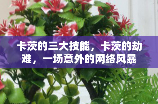 卡茨的三大技能，卡茨的劫难，一场意外的网络风暴