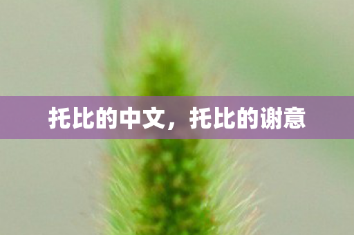 托比的中文，托比的谢意