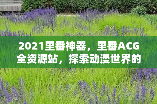 2021里番神器，里番ACG全资源站，探索动漫世界的无限可能