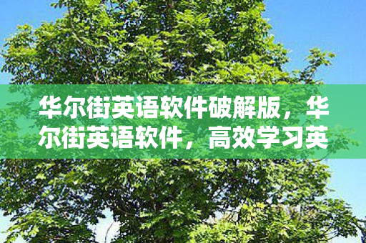 华尔街英语软件破解版，华尔街英语软件，高效学习英语的智能工具