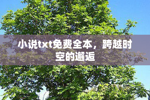 小说txt免费全本，跨越时空的邂逅