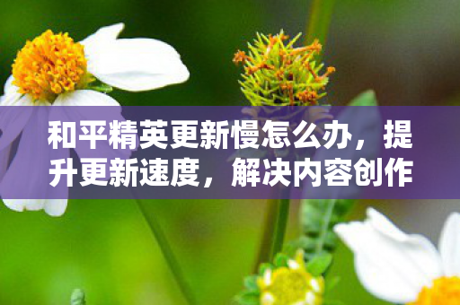 和平精英更新慢怎么办，提升更新速度，解决内容创作慢的困境
