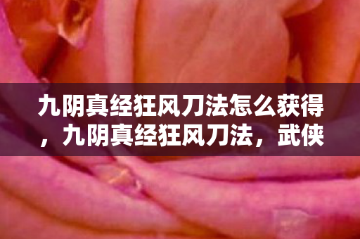 九阴真经狂风刀法怎么获得，九阴真经狂风刀法，武侠世界中的绝世刀法