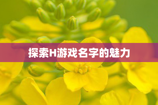 探索H游戏名字的魅力