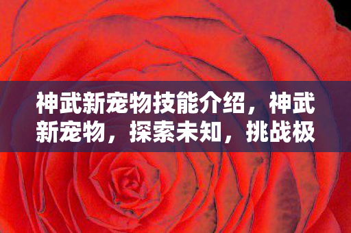 神武新宠物技能介绍,神武新宠物,探索未知,挑战极限 神武新宠物技能介绍,神武新宠物,探索未知,挑战极限