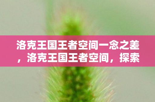 洛克王国王者空间一念之差，洛克王国王者空间，探索王国奥秘，领略无限可能