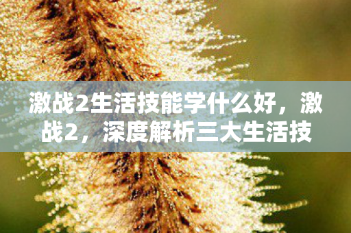 激战2生活技能学什么好，激战2，深度解析三大生活技能—烹饪、钓鱼与工艺制作