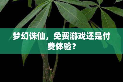 梦幻诛仙，免费游戏还是付费体验？