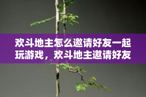 欢斗地主怎么邀请好友一起玩游戏，欢斗地主邀请好友同玩的详细指南