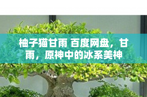 柚子猫甘雨 百度网盘，甘雨，原神中的冰系美神