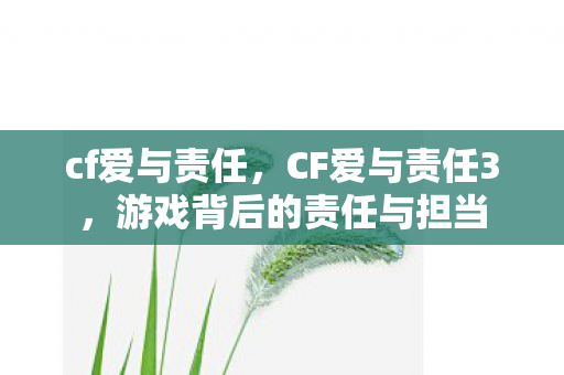 cf爱与责任，CF爱与责任3，游戏背后的责任与担当