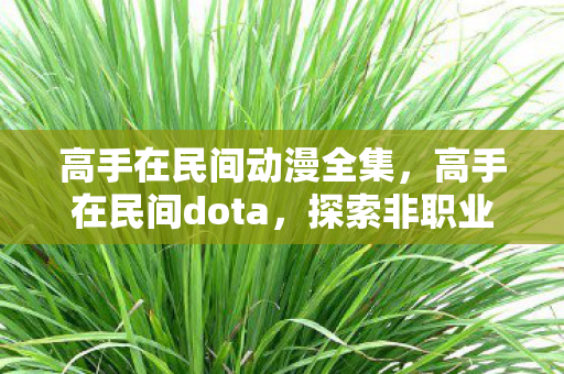 高手在民间动漫全集，高手在民间dota，探索非职业选手的卓越技艺