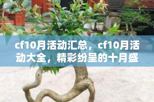 cf10月活动汇总,cf10月活动大全,精彩纷呈的十月盛宴 cf10月活动汇总,cf10月活动大全,精彩纷呈的十月盛宴