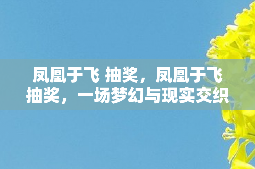 凤凰于飞 抽奖，凤凰于飞抽奖，一场梦幻与现实交织的盛宴