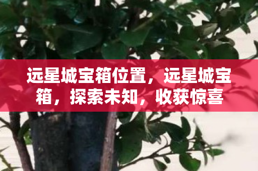 远星城宝箱位置，远星城宝箱，探索未知，收获惊喜
