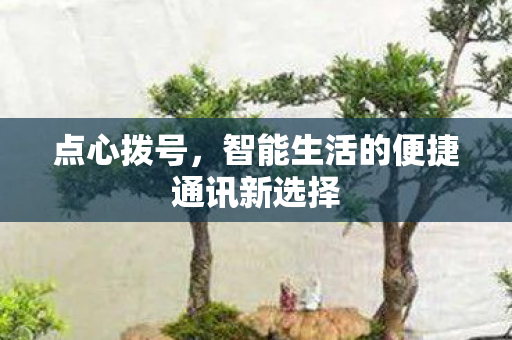 点心拨号,智能生活的便捷通讯新选择 点心拨号,智能生活的便捷通讯新选择