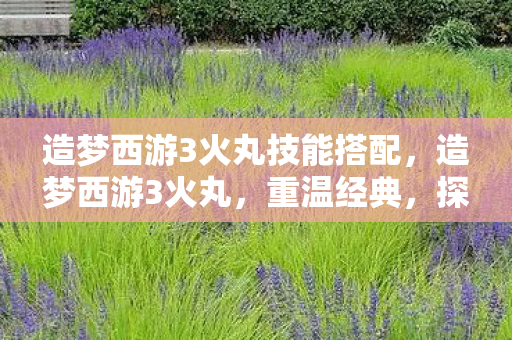 造梦西游3火丸技能搭配，造梦西游3火丸，重温经典，探索未知