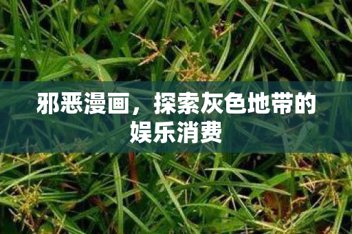 邪恶漫画，探索灰色地带的娱乐消费