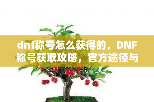 dnf称号怎么获得的，DNF称号获取攻略，官方途径与活动详解