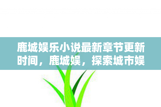 鹿城娱乐小说最新章节更新时间，鹿城娱，探索城市娱乐新风尚