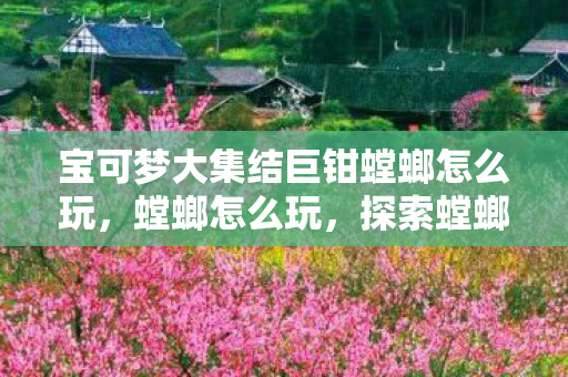 宝可梦大集结巨钳螳螂怎么玩，螳螂怎么玩，探索螳螂的趣味玩法与养护指南