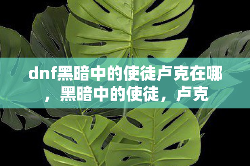 dnf黑暗中的使徒卢克在哪，黑暗中的使徒，卢克