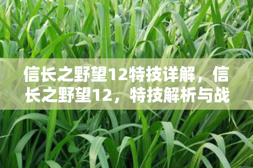 信长之野望12特技详解，信长之野望12，特技解析与战略运用
