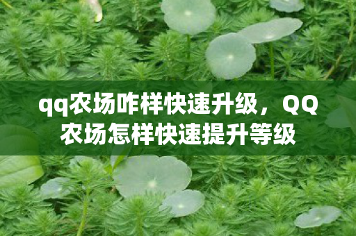 qq农场咋样快速升级，QQ农场怎样快速提升等级