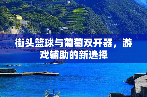 街头篮球与葡萄双开器，游戏辅助的新选择