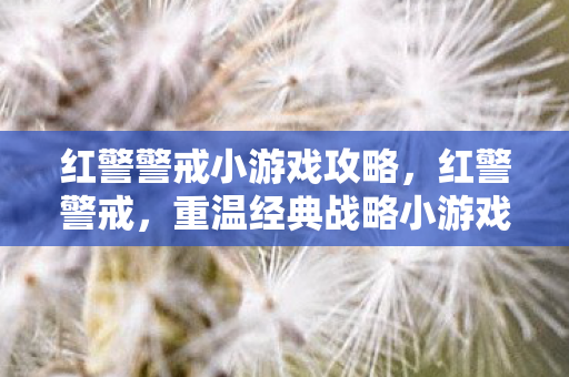 红警警戒小游戏攻略，红警警戒，重温经典战略小游戏的魅力