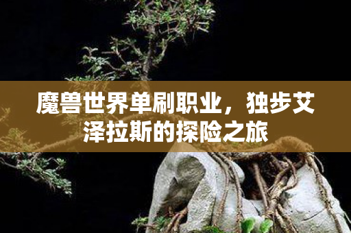 魔兽世界单刷职业，独步艾泽拉斯的探险之旅