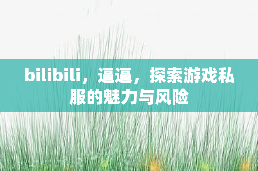 bilibili，逼逼，探索游戏私服的魅力与风险