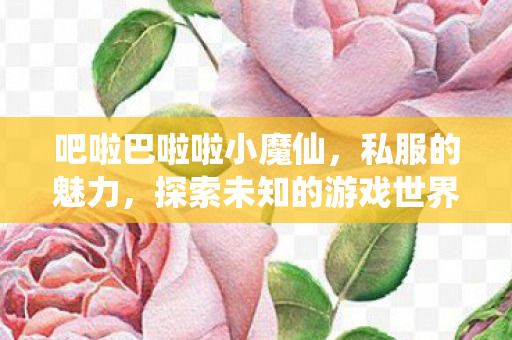 吧啦巴啦啦小魔仙，私服的魅力，探索未知的游戏世界