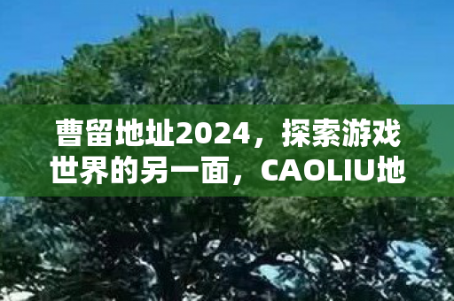 曹留地址2024，探索游戏世界的另一面，CAOLIU地址的奇妙之旅