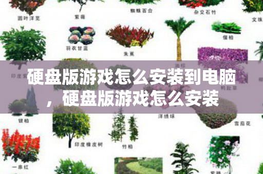 硬盘版游戏怎么安装到电脑,硬盘版游戏怎么安装 硬盘版游戏怎么安装到电脑,硬盘版游戏怎么安装