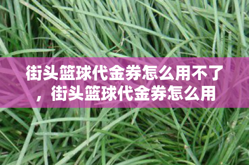 街头篮球代金券怎么用不了，街头篮球代金券怎么用