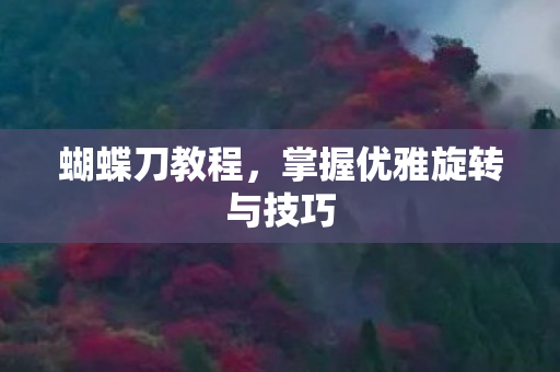 蝴蝶刀教程，掌握优雅旋转与技巧