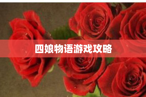 四娘物语游戏攻略