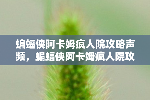蝙蝠侠阿卡姆疯人院攻略声频，蝙蝠侠阿卡姆疯人院攻略