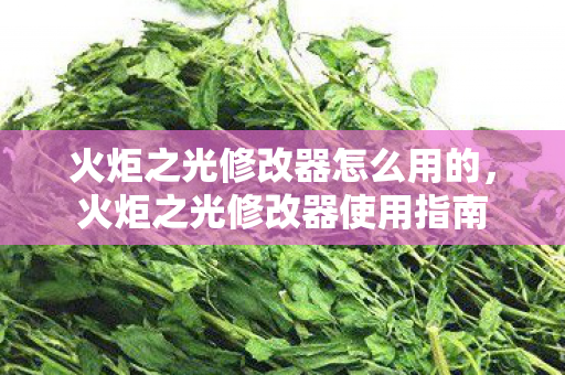 火炬之光修改器怎么用的,火炬之光修改器使用指南 火炬之光修改器怎么用的,火炬之光修改器使用指南