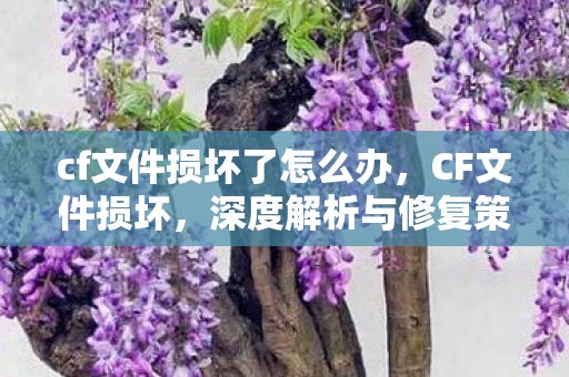 cf文件损坏了怎么办,CF文件损坏,深度解析与修复策略 cf文件损坏了怎么办,CF文件损坏,深度解析与修复策略