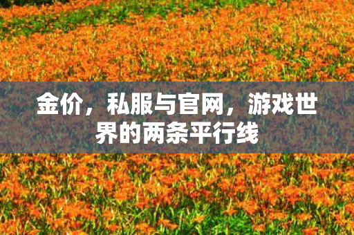 金价,私服与官网,游戏世界的两条平行线 金价,私服与官网,游戏世界的两条平行线