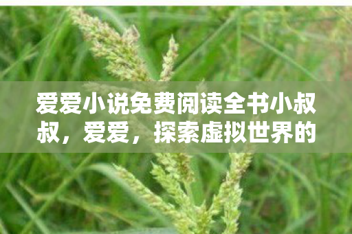 爱爱小说免费阅读全书小叔叔，爱爱，探索虚拟世界的无限可能