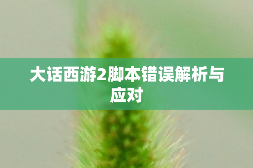 大话西游2脚本错误解析与应对 大话西游2脚本错误解析与应对