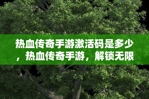 热血传奇手游激活码是多少，热血传奇手游，解锁无限可能的神秘钥匙